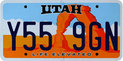 UT license plate Y559GN