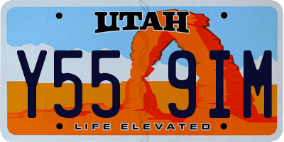 UT license plate Y559IM