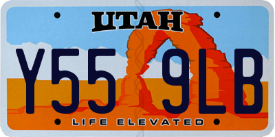 UT license plate Y559LB