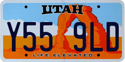 UT license plate Y559LD