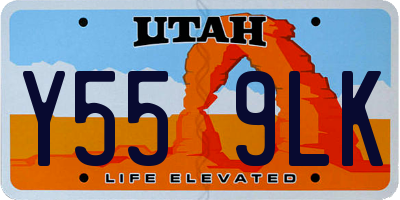 UT license plate Y559LK