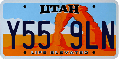 UT license plate Y559LN