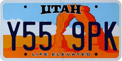 UT license plate Y559PK