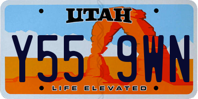 UT license plate Y559WN