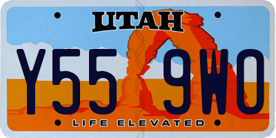 UT license plate Y559WO