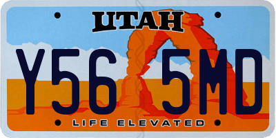 UT license plate Y565MD