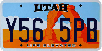 UT license plate Y565PB
