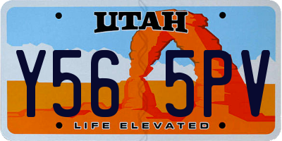 UT license plate Y565PV