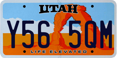 UT license plate Y565QM