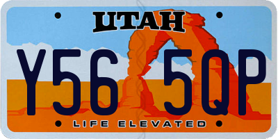 UT license plate Y565QP