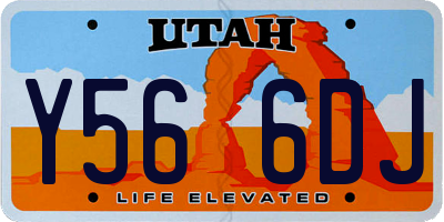 UT license plate Y566DJ