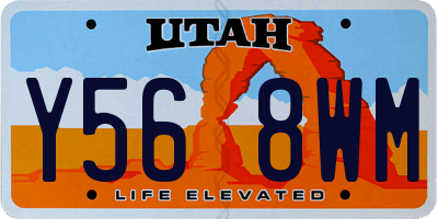 UT license plate Y568WM