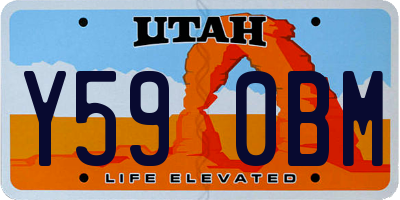 UT license plate Y590BM