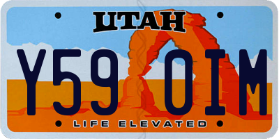 UT license plate Y590IM