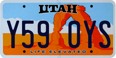 UT license plate Y590YS