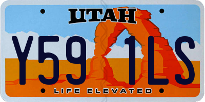 UT license plate Y591LS