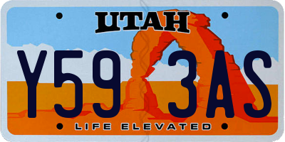 UT license plate Y593AS