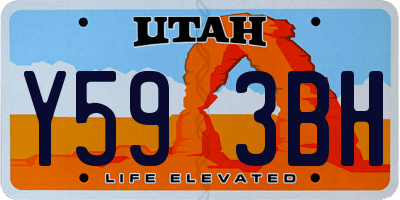 UT license plate Y593BH