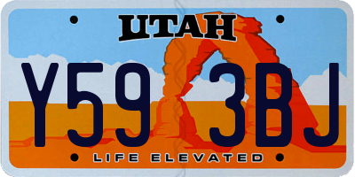 UT license plate Y593BJ