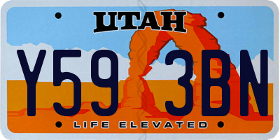 UT license plate Y593BN