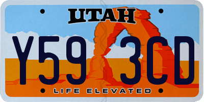UT license plate Y593CD