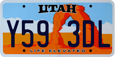 UT license plate Y593DL