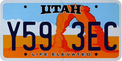 UT license plate Y593EC
