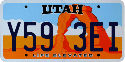 UT license plate Y593EI