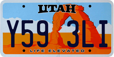 UT license plate Y593LI