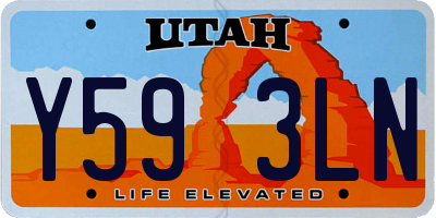 UT license plate Y593LN