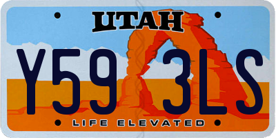 UT license plate Y593LS