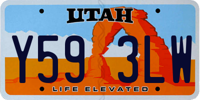 UT license plate Y593LW