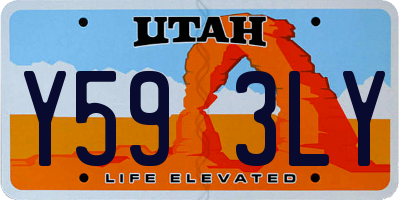 UT license plate Y593LY
