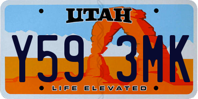 UT license plate Y593MK