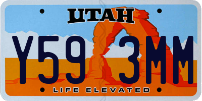 UT license plate Y593MM