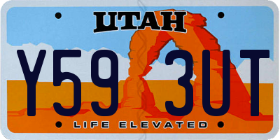 UT license plate Y593UT