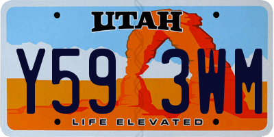 UT license plate Y593WM