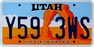 UT license plate Y593WS