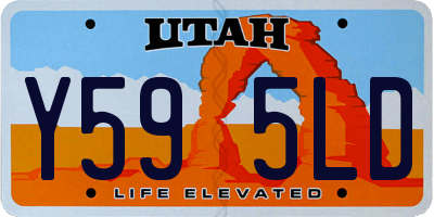 UT license plate Y595LD