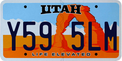 UT license plate Y595LM