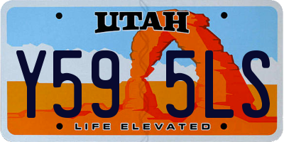 UT license plate Y595LS