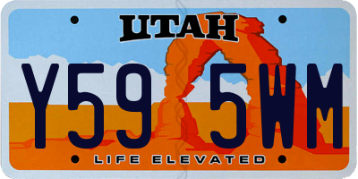 UT license plate Y595WM