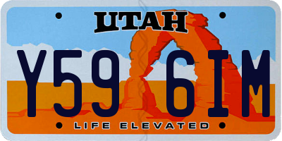 UT license plate Y596IM