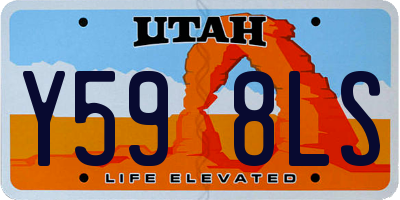 UT license plate Y598LS