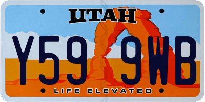 UT license plate Y599WB