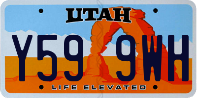 UT license plate Y599WH