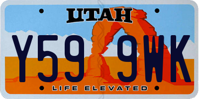 UT license plate Y599WK