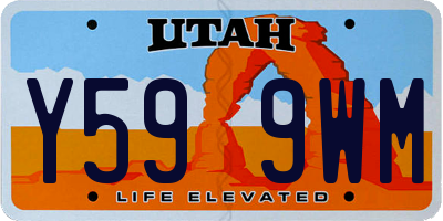 UT license plate Y599WM