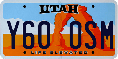 UT license plate Y600SM