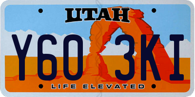 UT license plate Y603KI